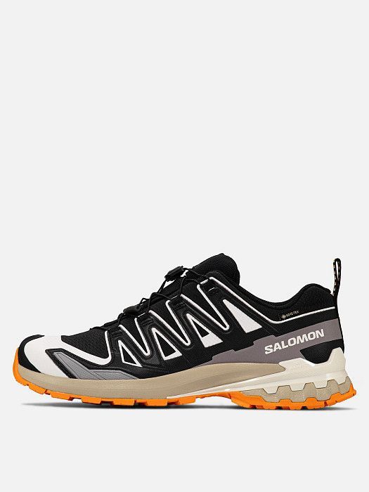 Salomon XA Pro 3D V9 Gore-Tex